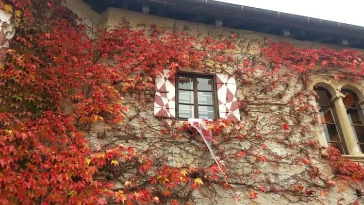 destinații