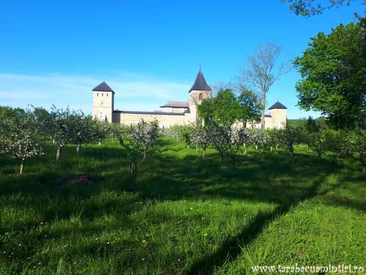 Mănăstirea Dragomirna 