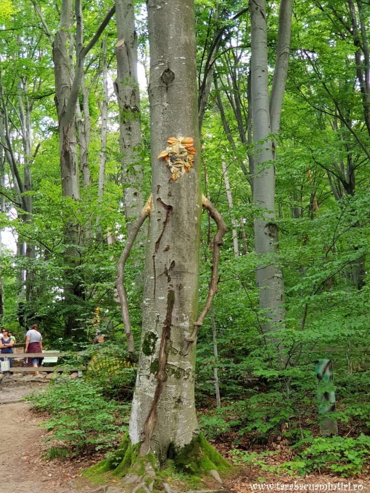 Dino parc