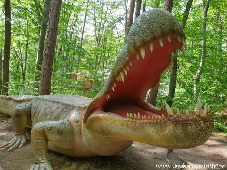 Dino parc