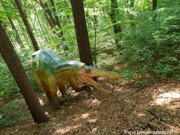 Dino parc