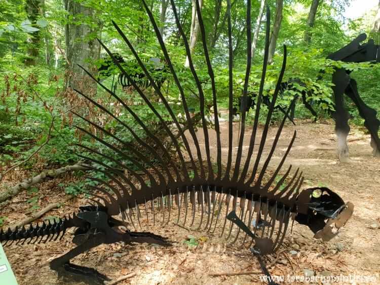 Dino parc