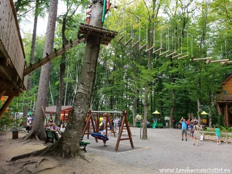 Dino parc