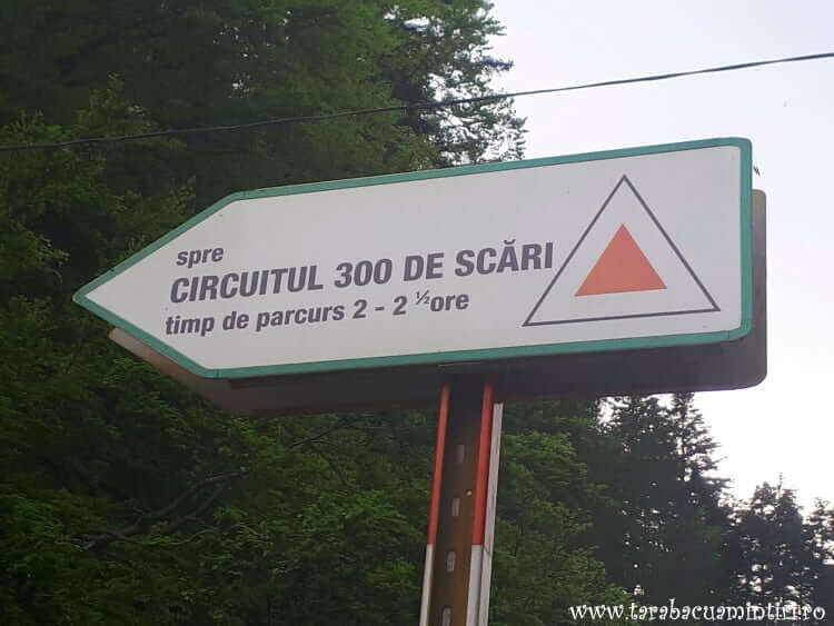 Slănic Moldova
