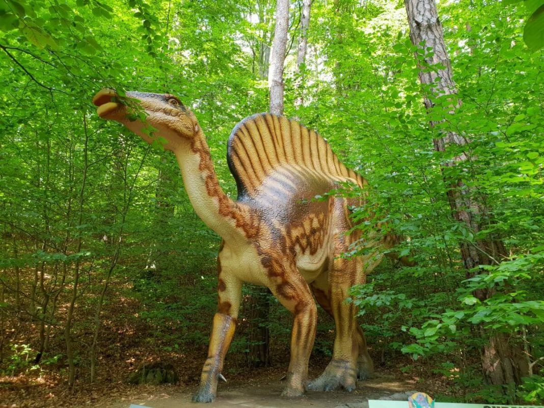 Dino parc