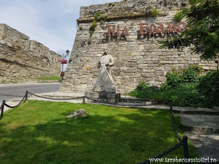 Cetatea Camenița