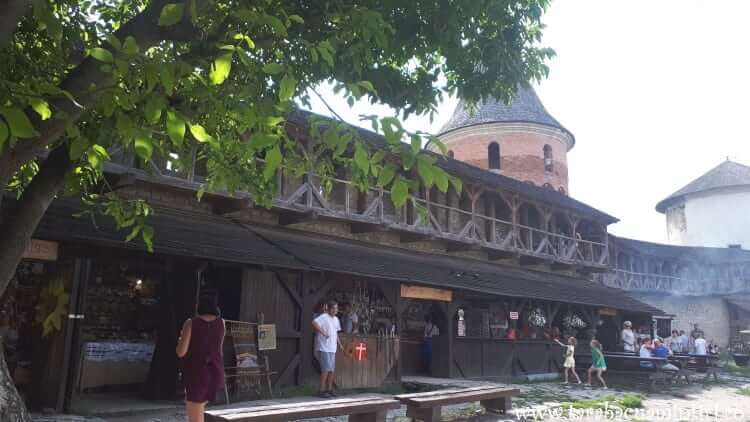 Cetatea Camenița