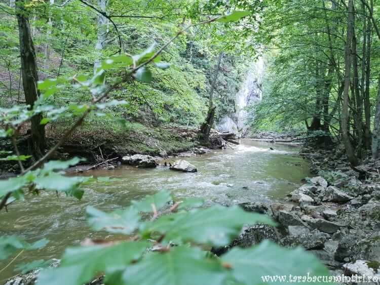 Cheile Vârghișului