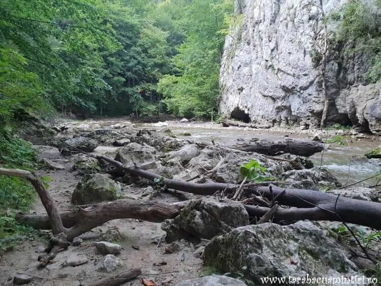 Cheile Vârghișului