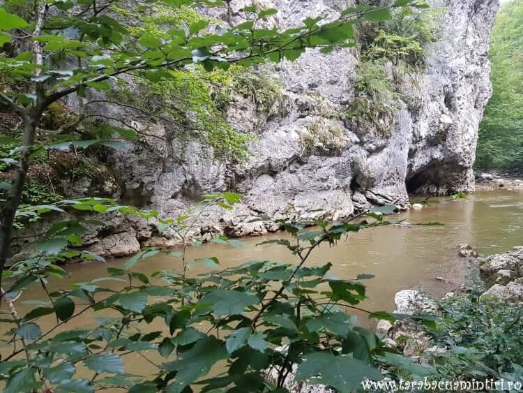 Cheile Vârghișului