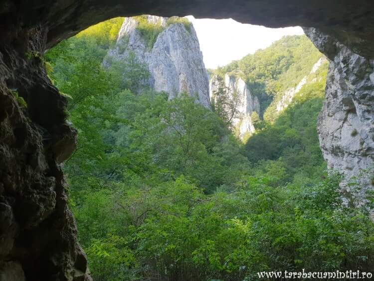 Peștera mare cheile vârghișului