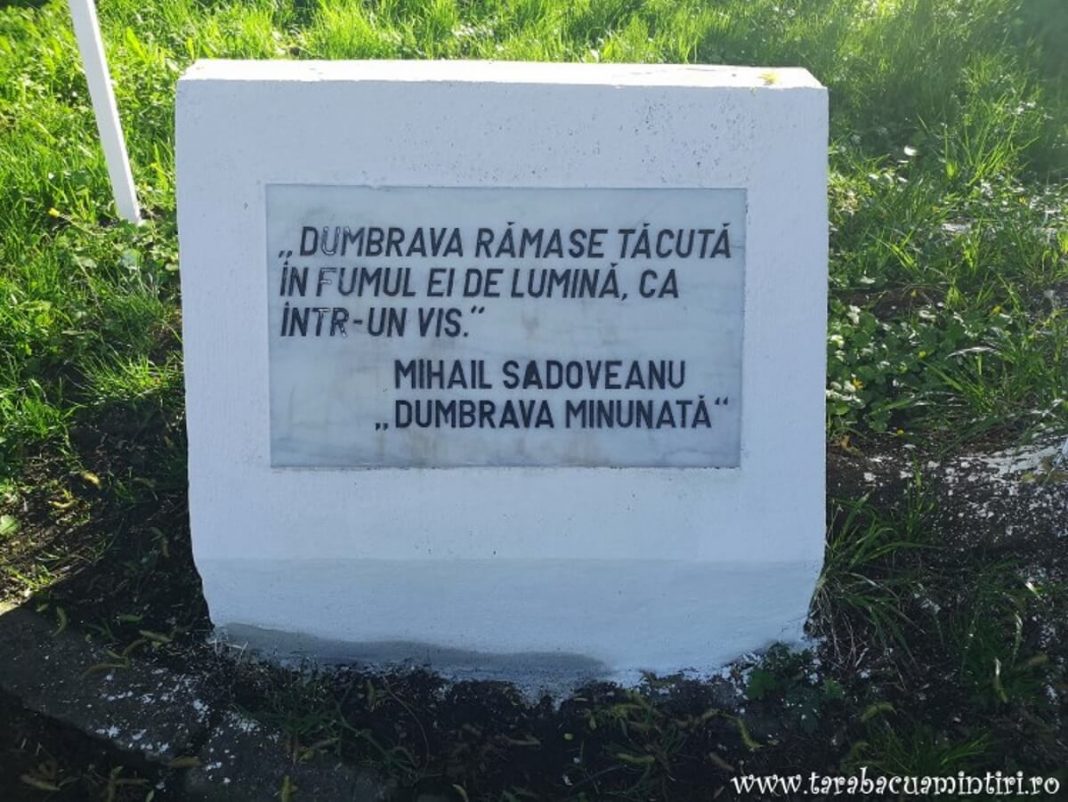 Dumbrava Minunata Dumbrava Minunata