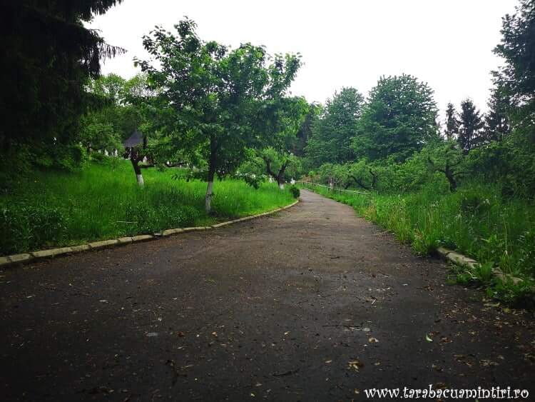 Mănăstirea Buciumeni