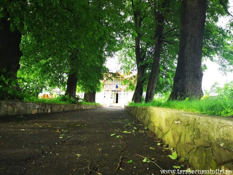 Muzeul Mihai Sadoveanu