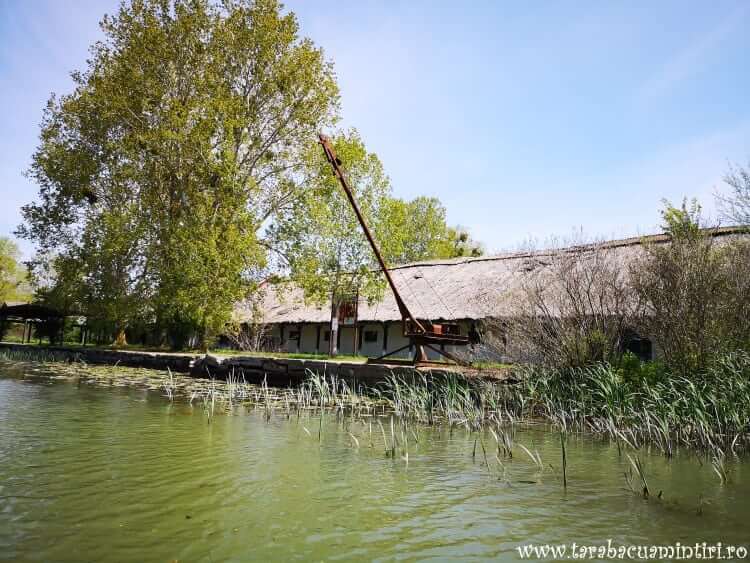 Delta Dunării