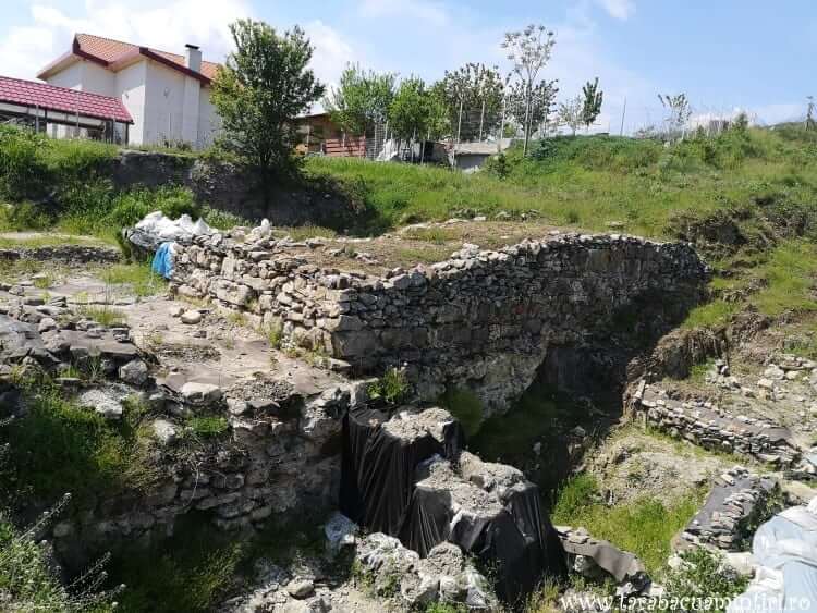 Cetatea Proslavița