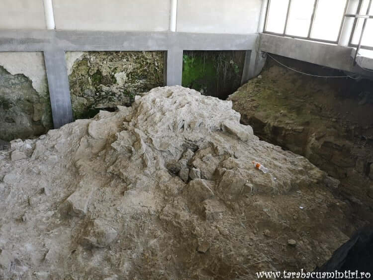 Cetate Proslavița