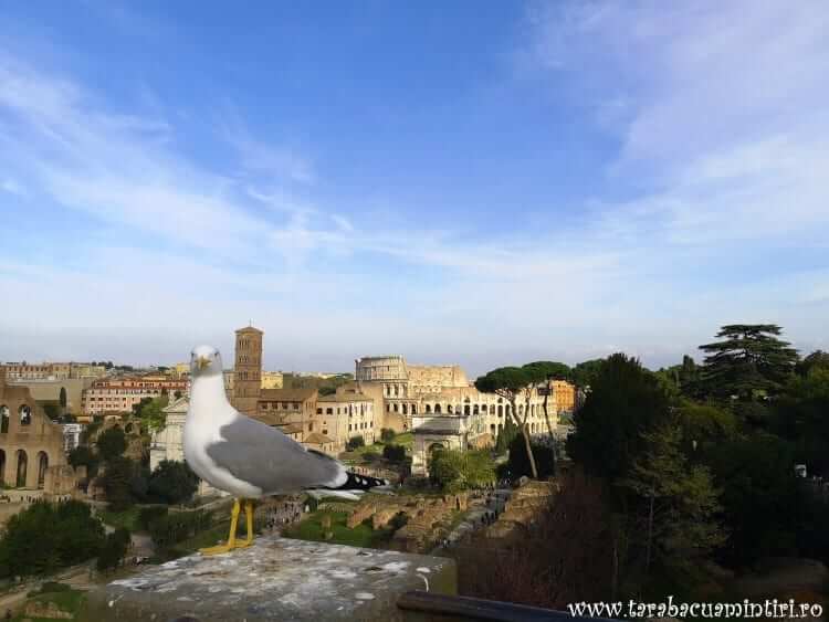 Panoramic Vacanță Roma