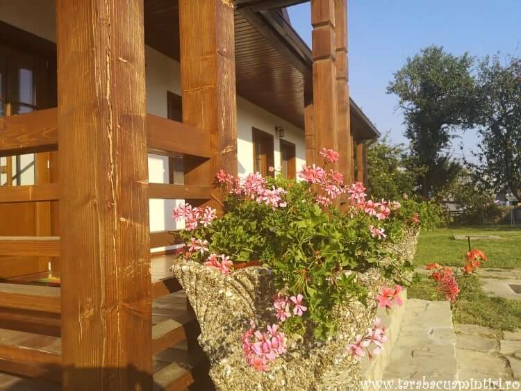 Casa Străbunicului