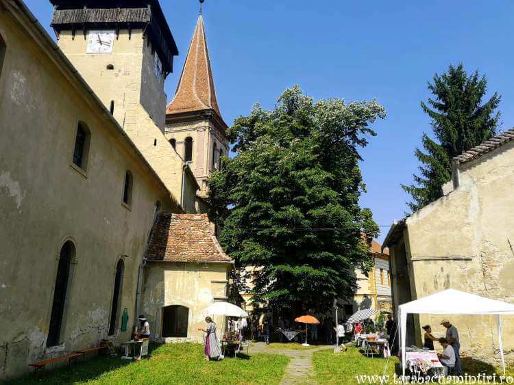 Șeica Mică