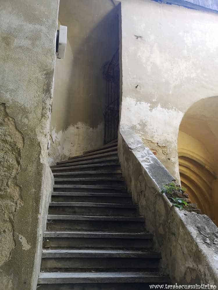 Șeica Mică