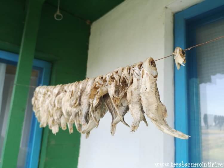 Satul Pescăresc Tradițional Tulcea