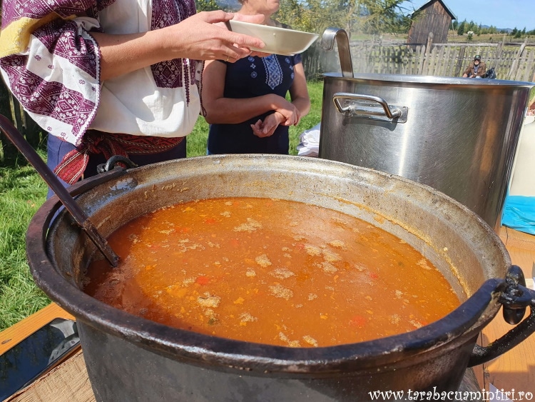 EcoBrunch Țara Dornelor