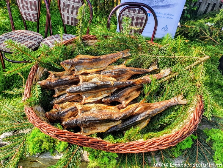 EcoBrunch Țara Dornelor