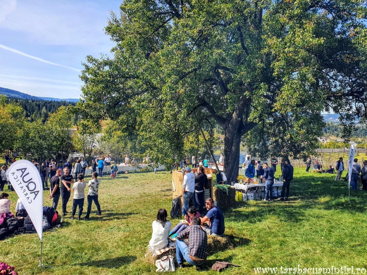 EcoBrunch Țara Dornelor 