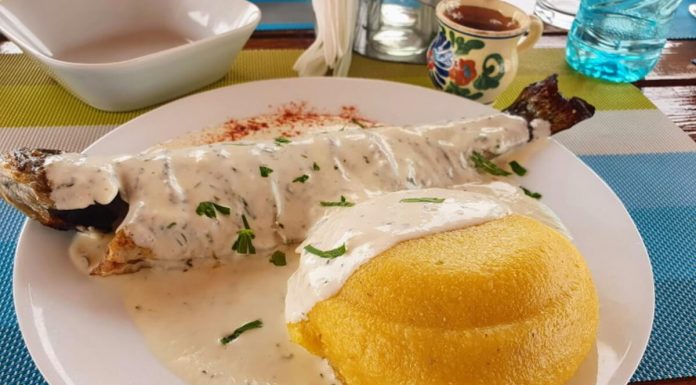 Păstrăvăria La Poalele Călimanilor, locul unde gustul devine plăcere Păstrăvăria La Poalele Călimanilor