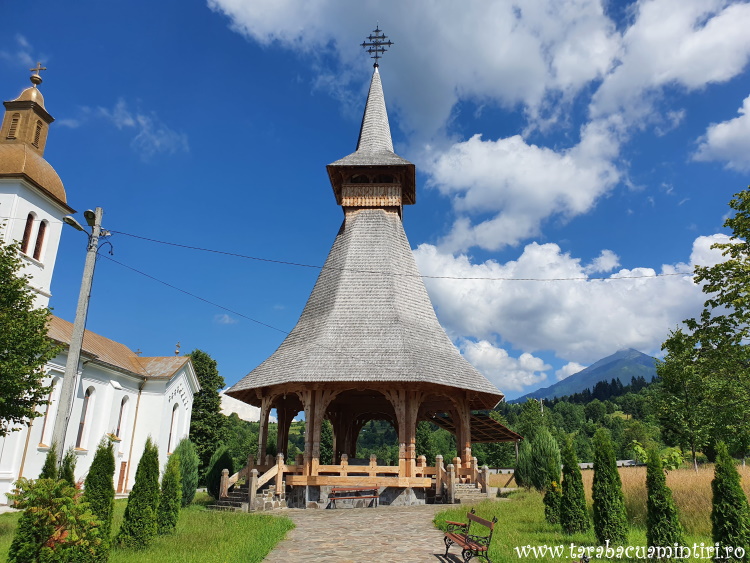 Mănăstirea Moisei