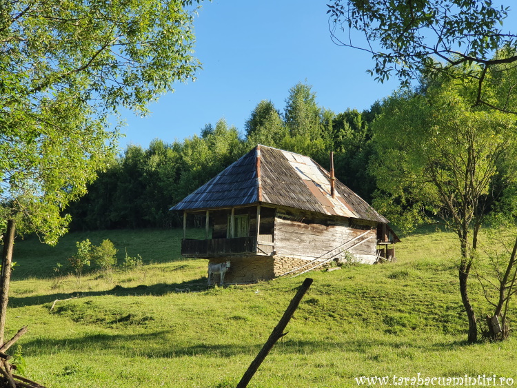 Valea Vinului