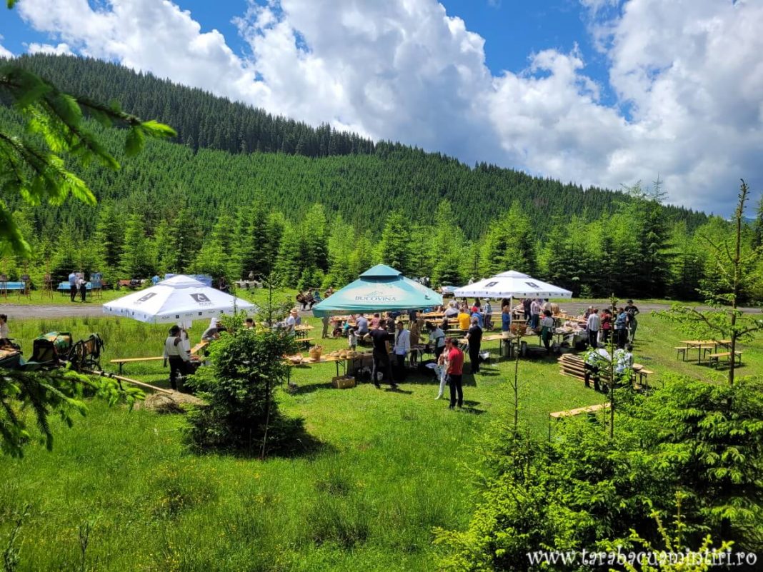 Eco-Brunch Ciocănești