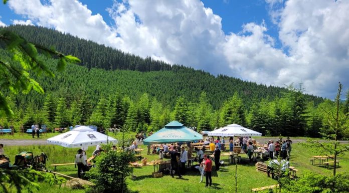 Eco-Brunch Ciocănești, o poveste savuroasă Eco-Brunch Ciocănești