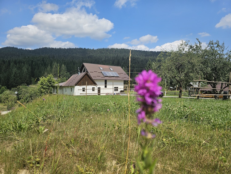 Cabana Codrii Seculari Bucovina