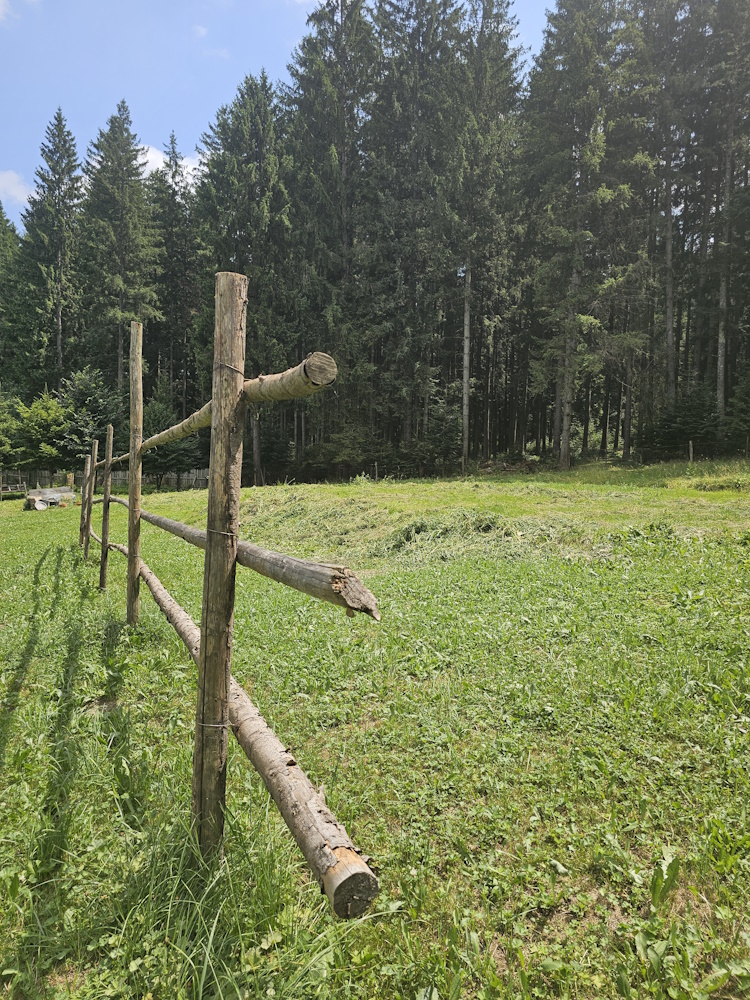 Cabana Codrii Seculari Bucovina